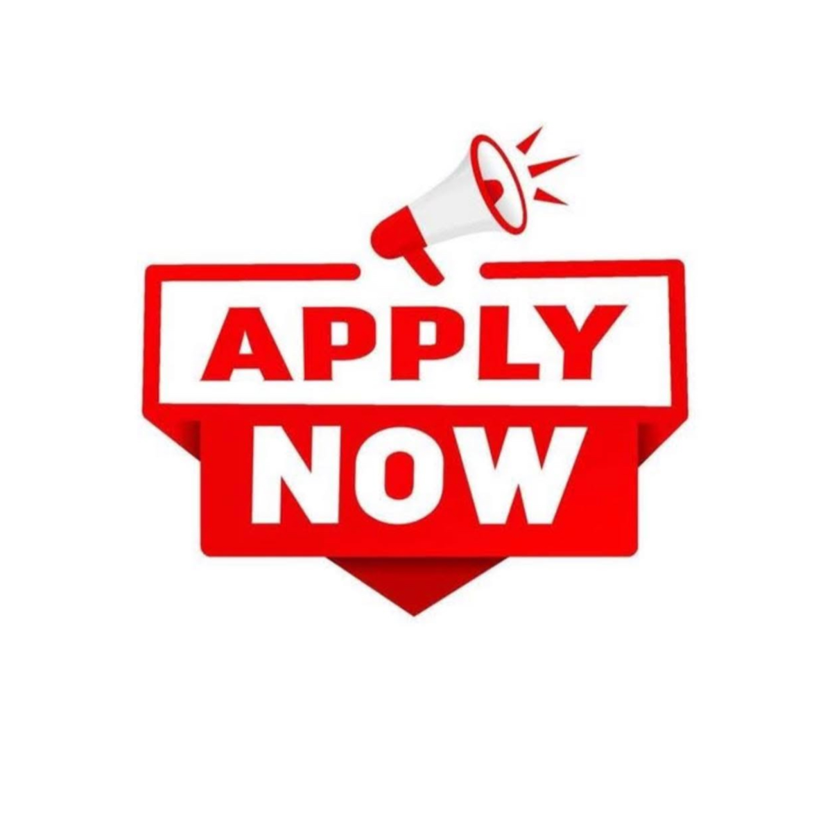 Work from home (REMOTE JOB) | Other areas of activity | New York City | Ad gallery (SEO) | 1