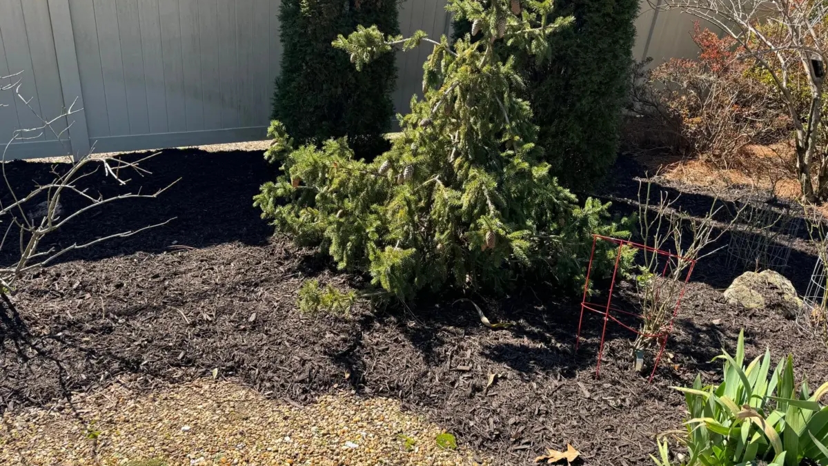 Diaz Lawn Care And Landscaping | Other Services | Chattanooga | 3