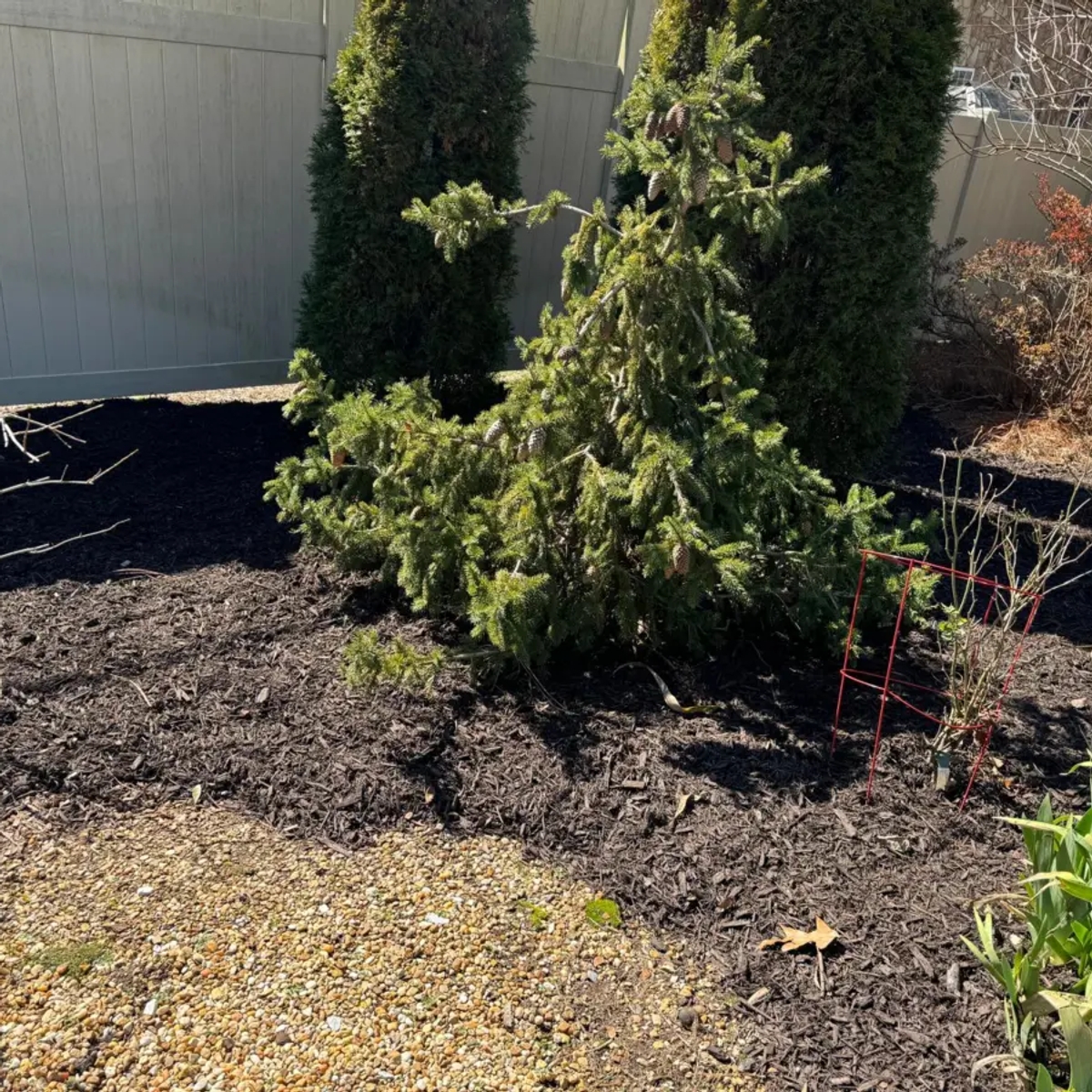 Diaz Lawn Care And Landscaping | Other Services | Chattanooga | 1