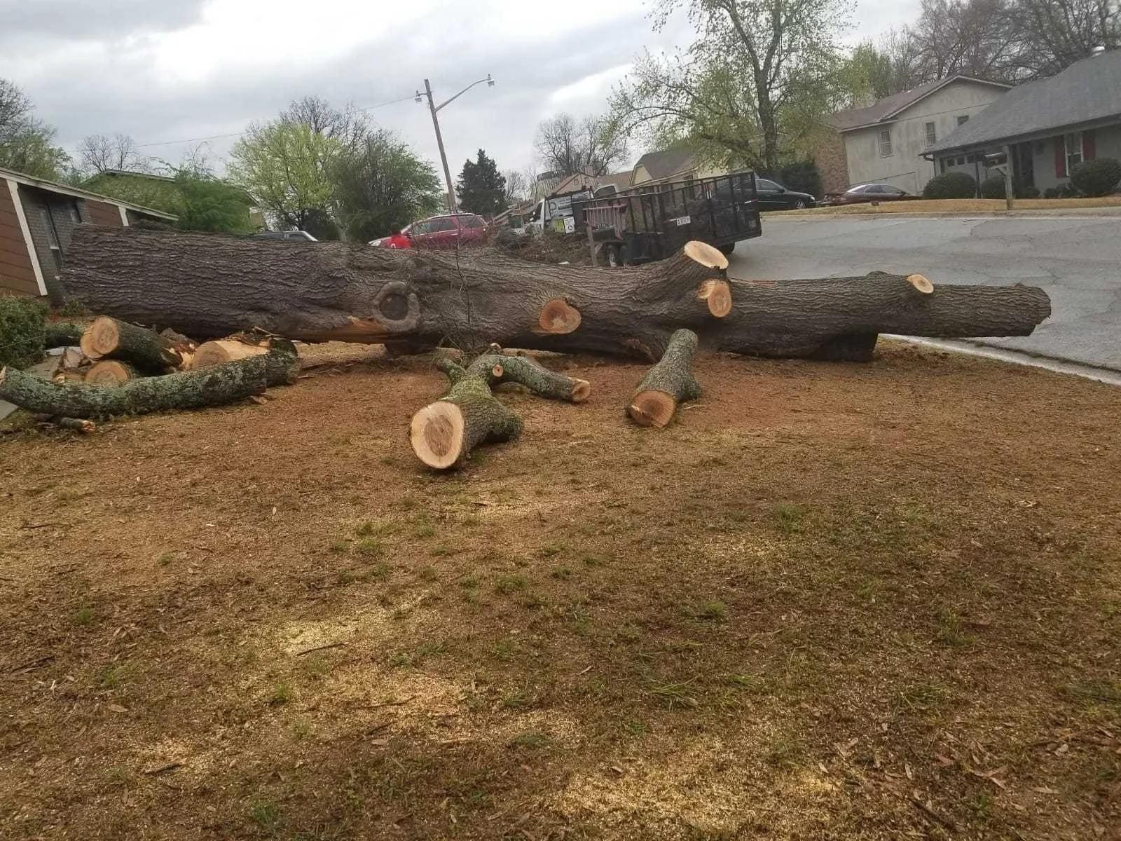 Francisco's Tree Services | Other Services | Little Rock | 3