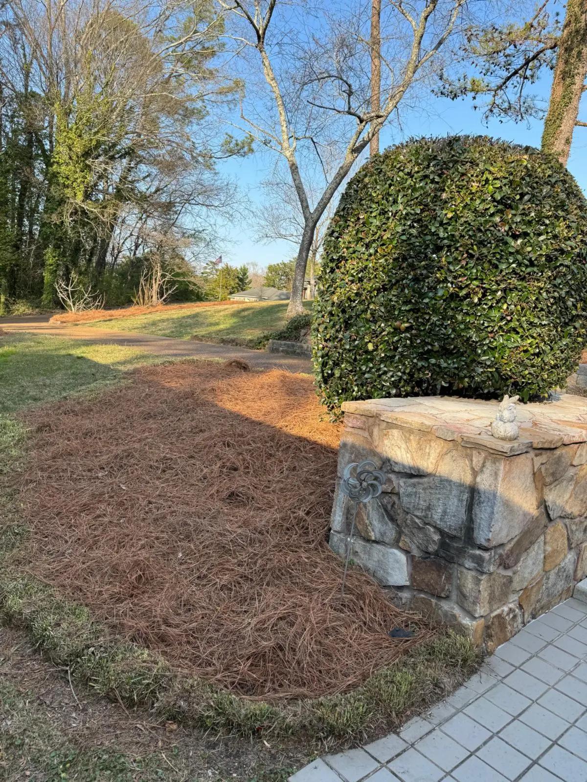 Diaz Lawn Care And Landscaping | Other Services | Chattanooga | 2