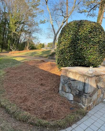 Diaz Lawn Care And Landscaping | Other Services | Chattanooga | 2