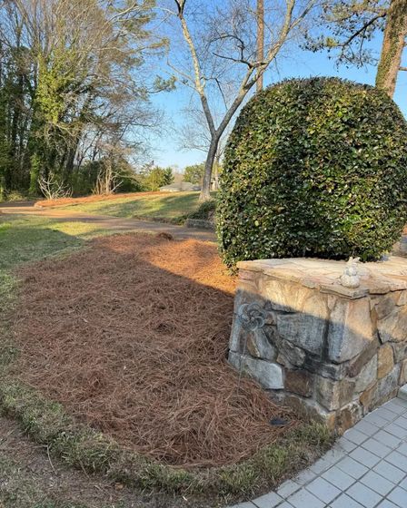 Diaz Lawn Care And Landscaping | Other Services | Chattanooga | 3