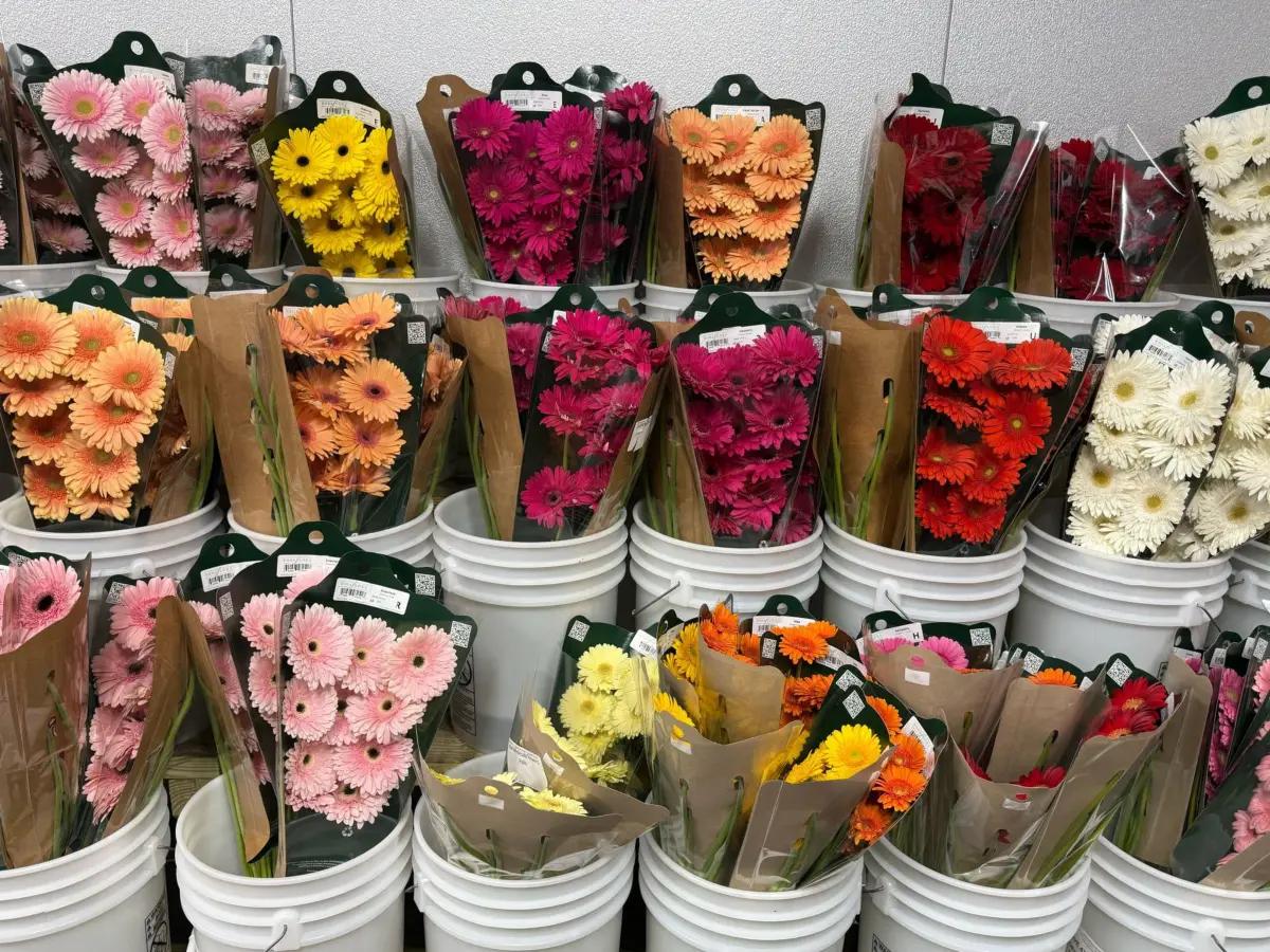 Lily Flowers LLC | Other Services | Jersey City | 5