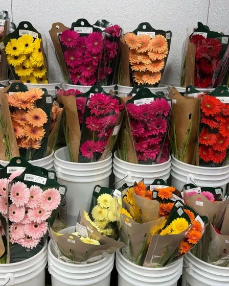 Lily Flowers LLC | Other Services | Jersey City | 5