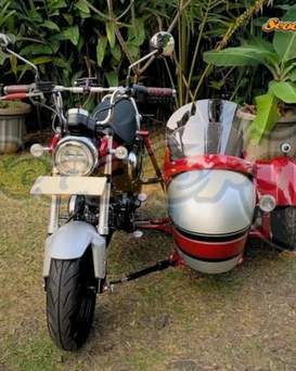 Sidecar Kit for Honda ST 125 Dax by Scooter99 – Compact, Stylish, Ready to Ride
