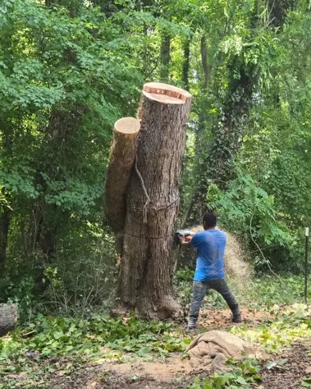 Garcias Tree Service and Lawn | Other Services | Greensboro | 2