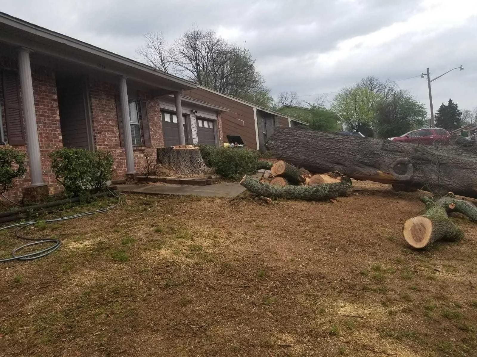 Francisco's Tree Services | Other Services | Little Rock | 6