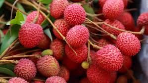 Lychees and the deaths!