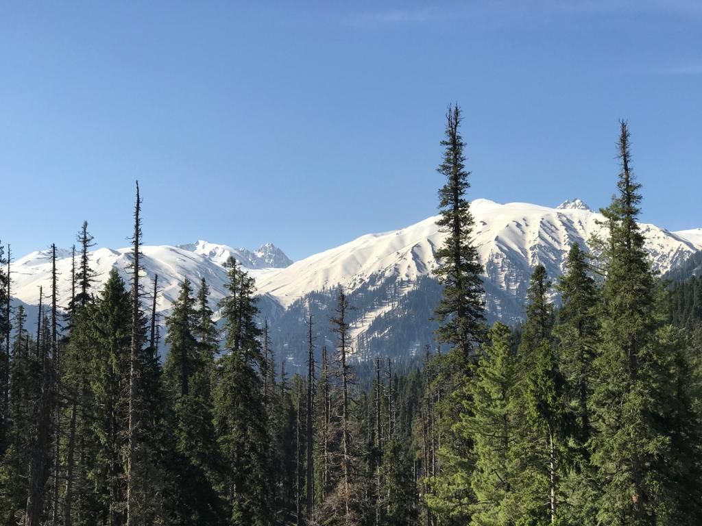 Kashmir 2019