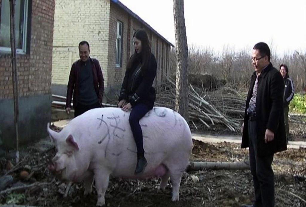 China 2019-3