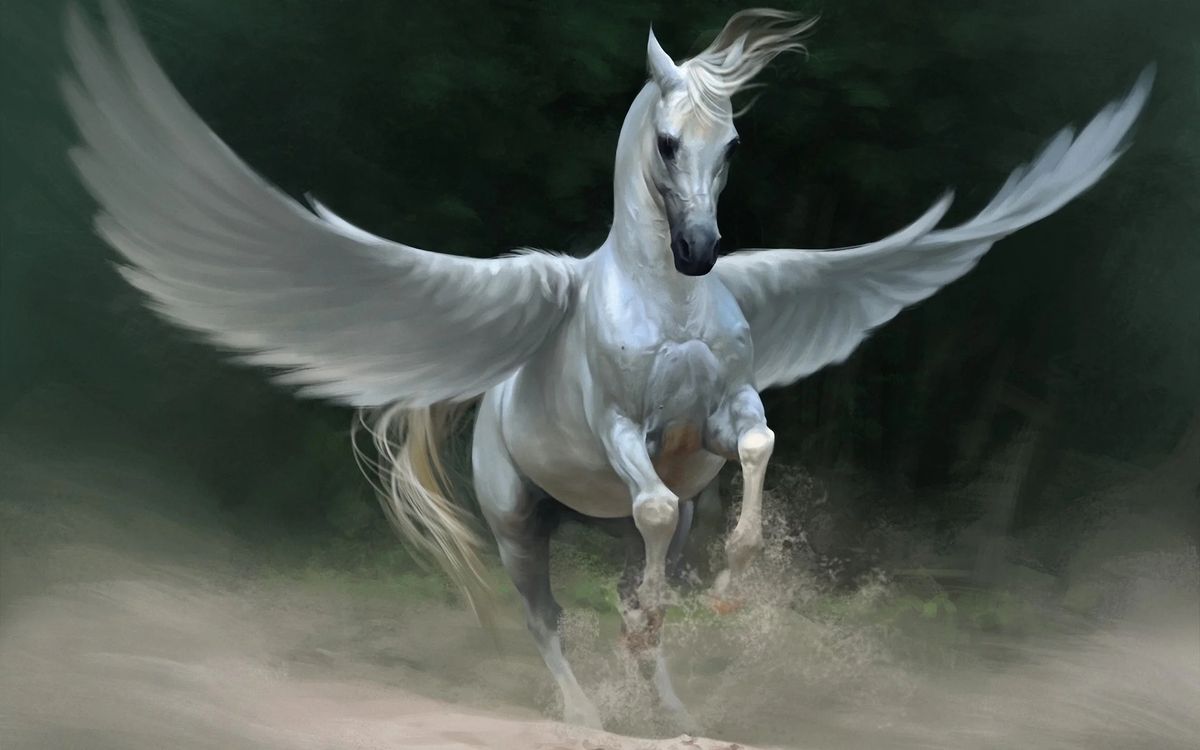 If wishes were horses!