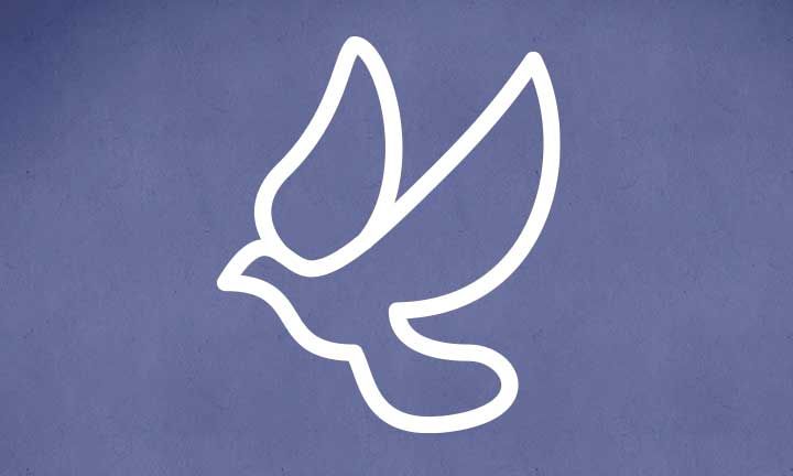 Who will lead the peace initiative?