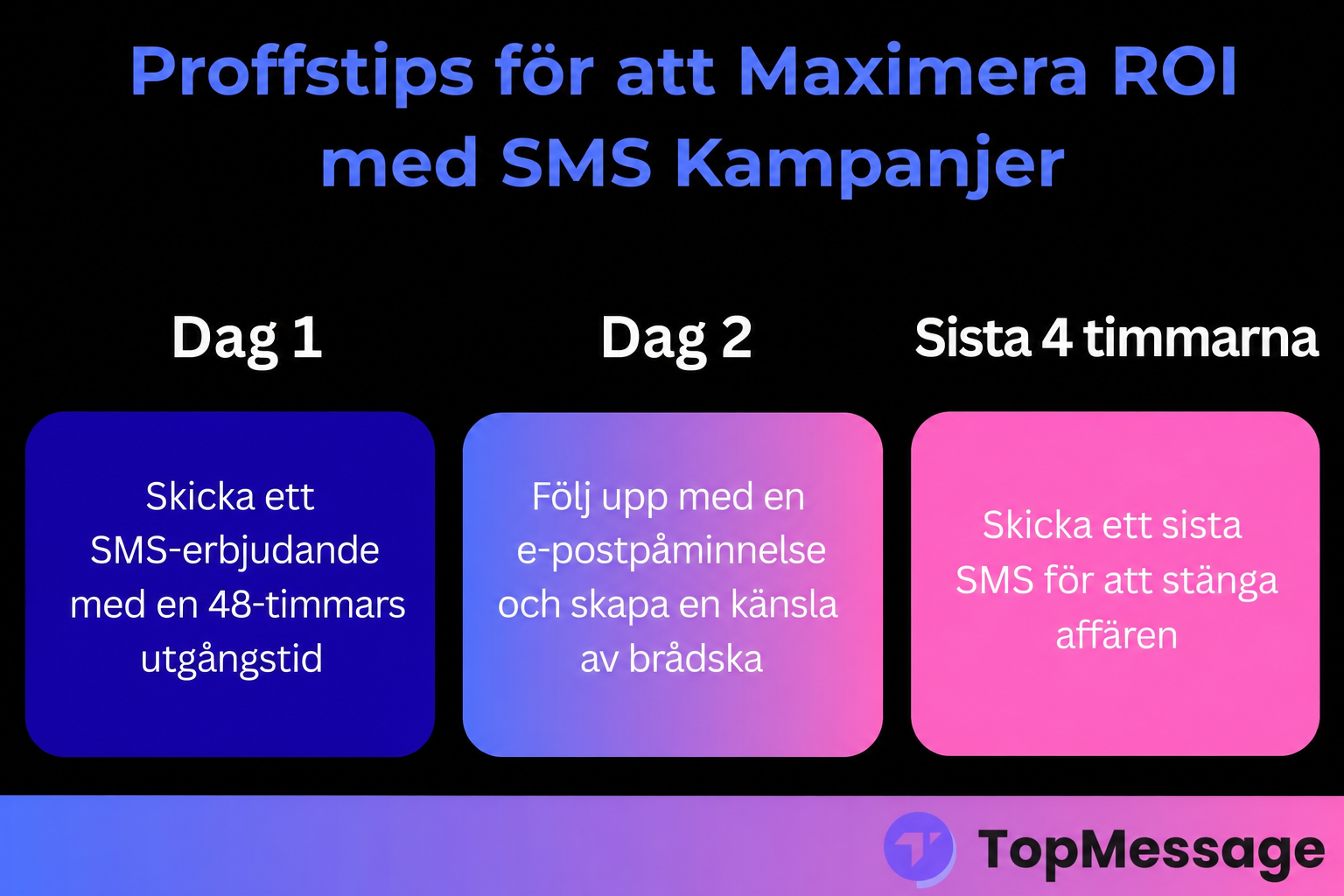 Infografik som visar en 3-dagarsstrategi för att öka ROI med SMS-säljkampanjer, inklusive SMS-kuponger, e-postuppföljning och SMS-påminnelser om sista chansen-försäljning.