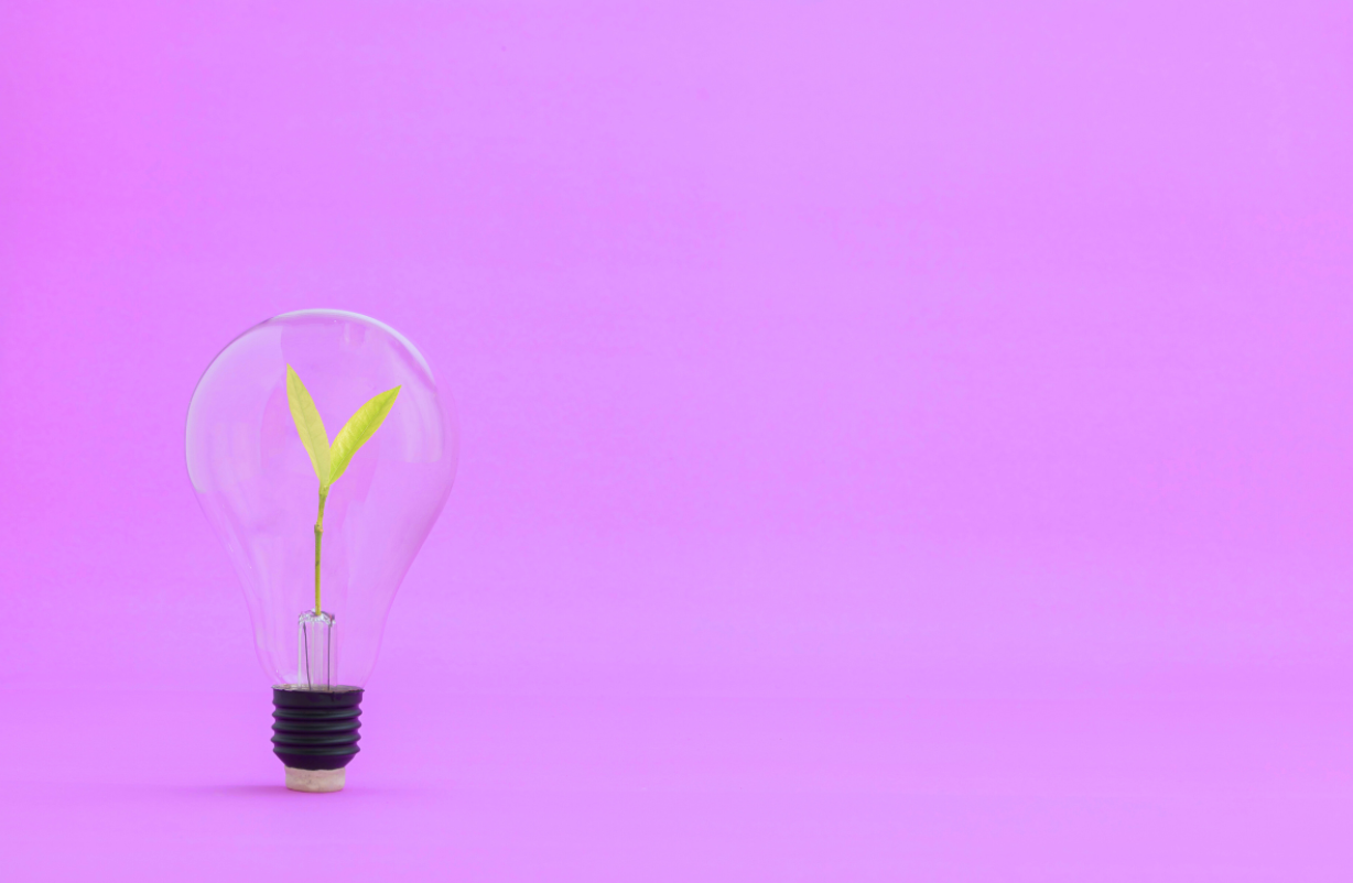 A lightbulb on a purple background. 