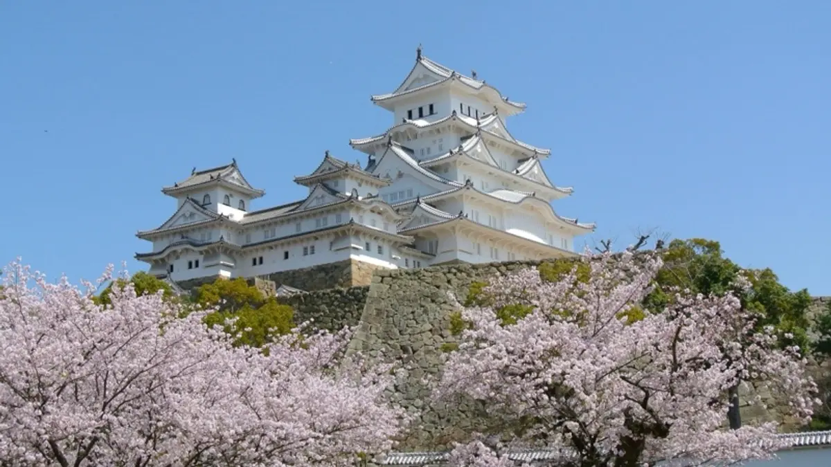 Himeji Castle with cherry blossoms viewed from the southwest