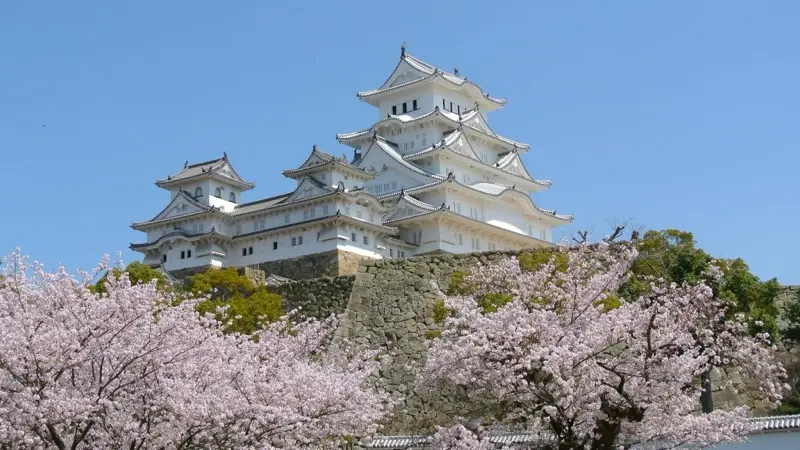 Himeji Castle with cherry blossoms viewed from the southwest