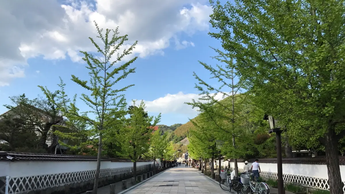 Tonomachi Street and its historic waterways in Tsuwano, Shimane