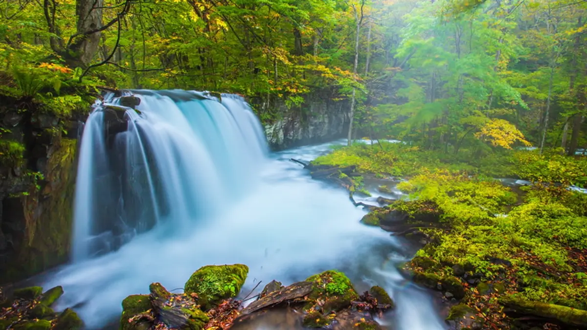 Choshi Otaki waterfall in Oirase Gorge, Aomori, surrounded by forest and moss-covered rocks