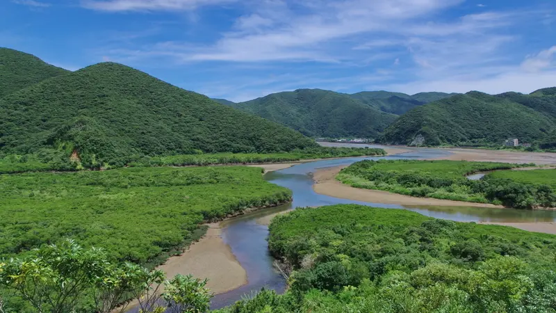 Winding river through the mangrove forest in Sumiyo on Amami Oshima, with green mountains in the background