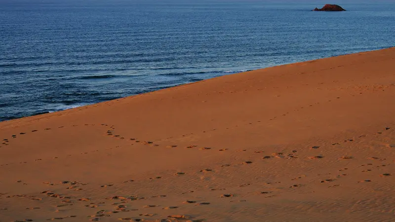 Tottori Sand Dunes beside the Sea of Japan in Tottori, Japan