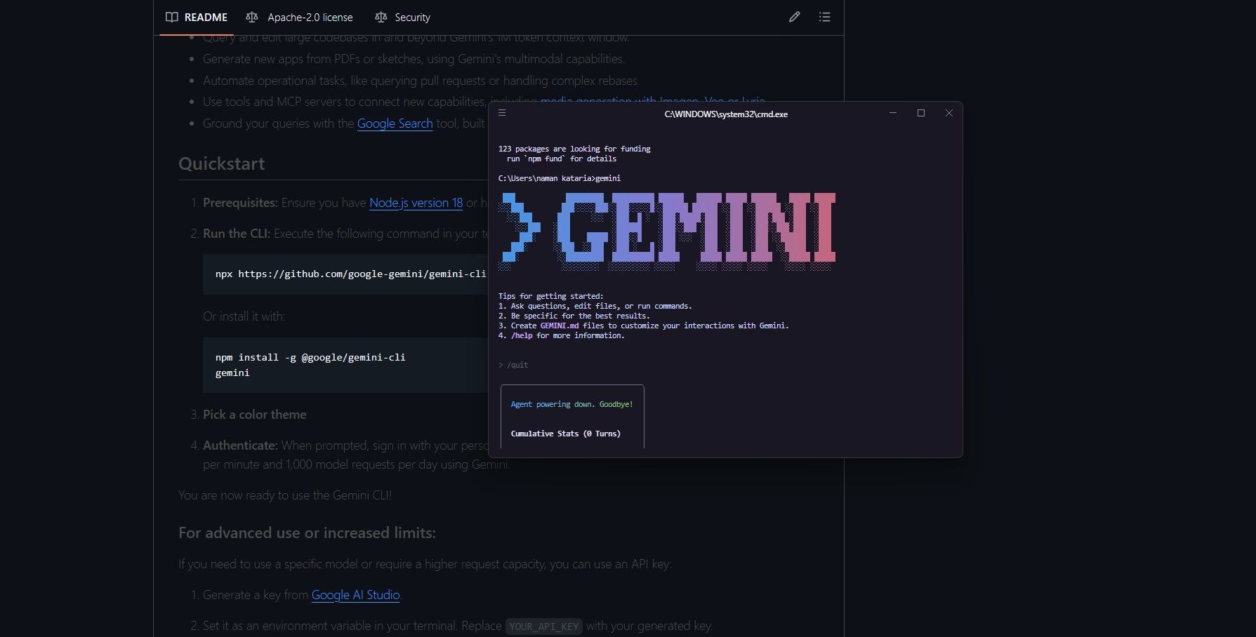 How to Install Gemini CLI on Windows 11 – A Developer’s First Look ...
