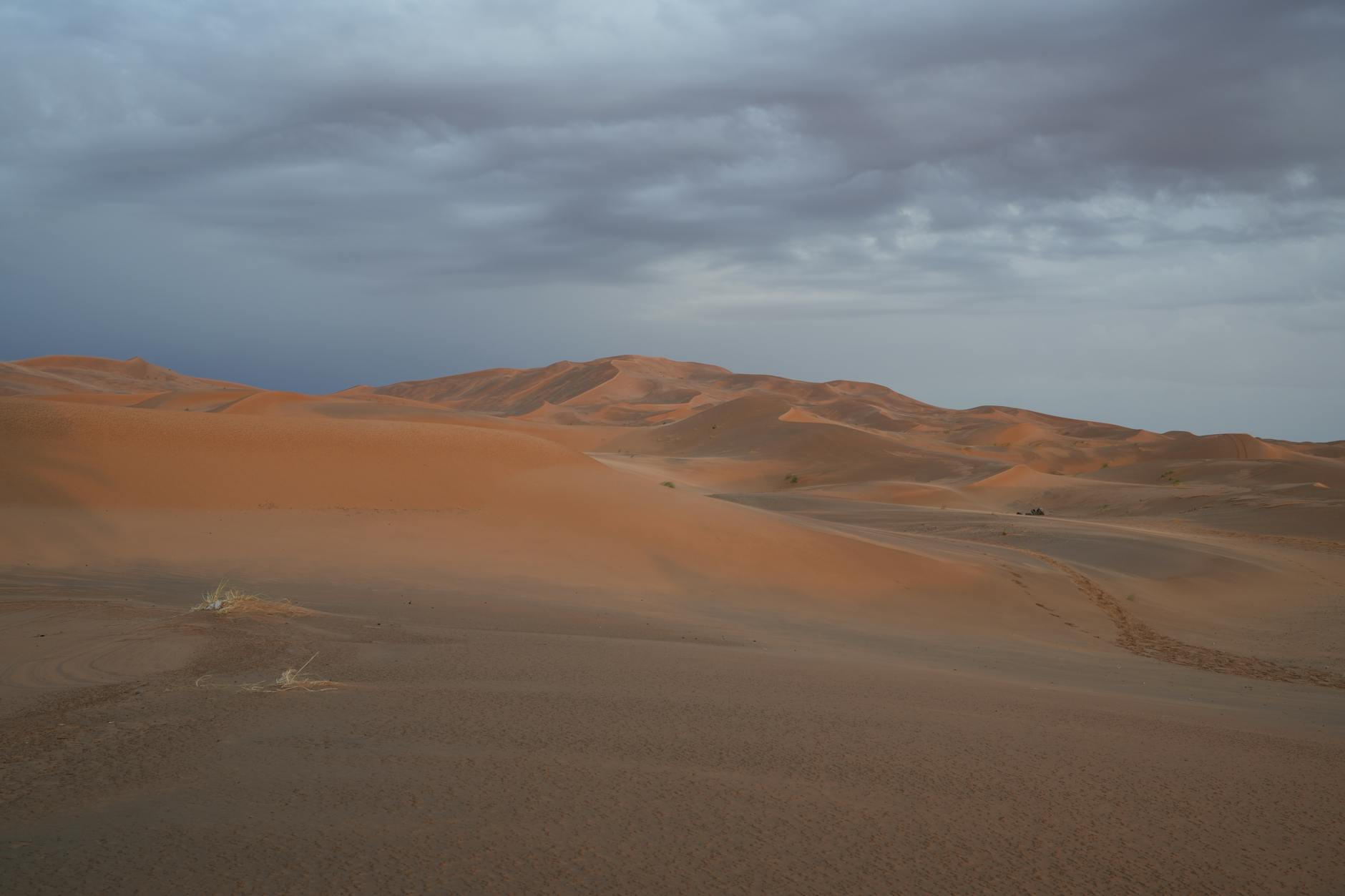 Merzouga desert sunrise and drive to Marrakech