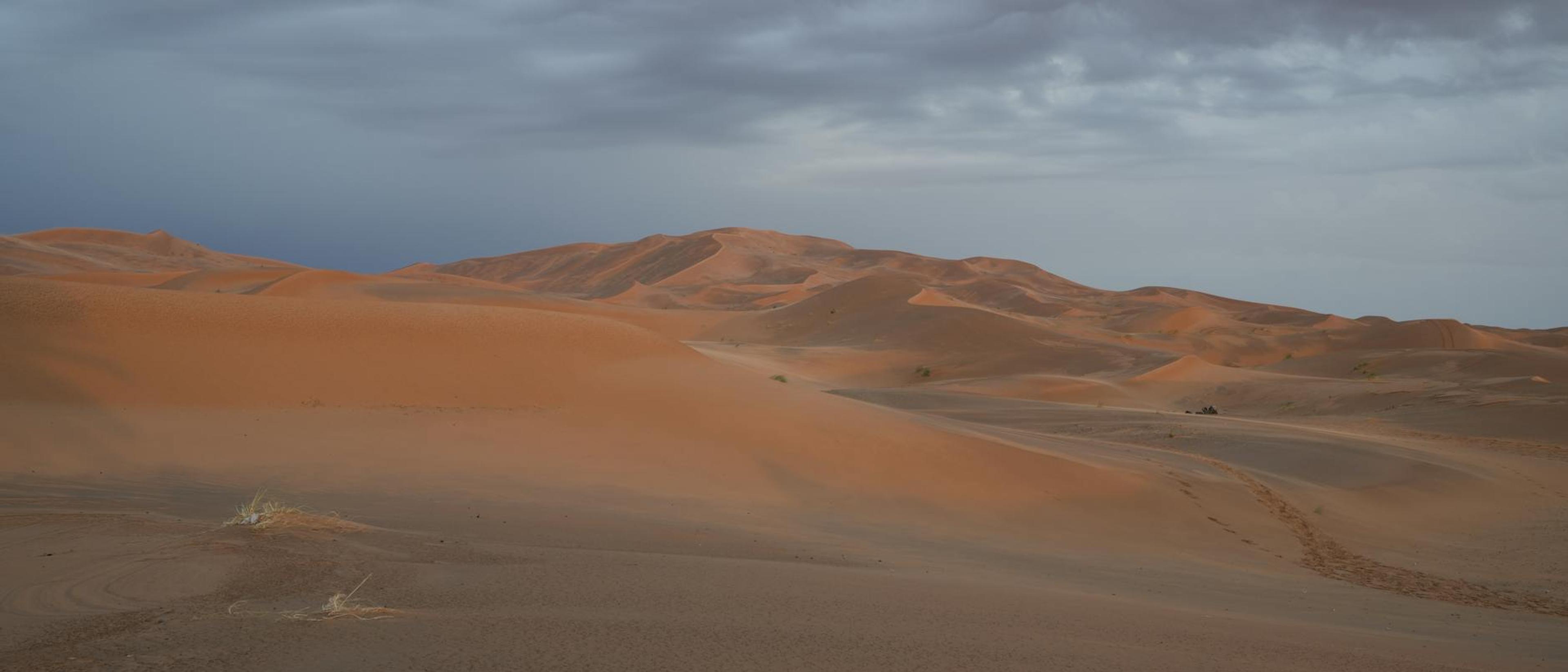Merzouga desert sunrise and drive to Marrakech
