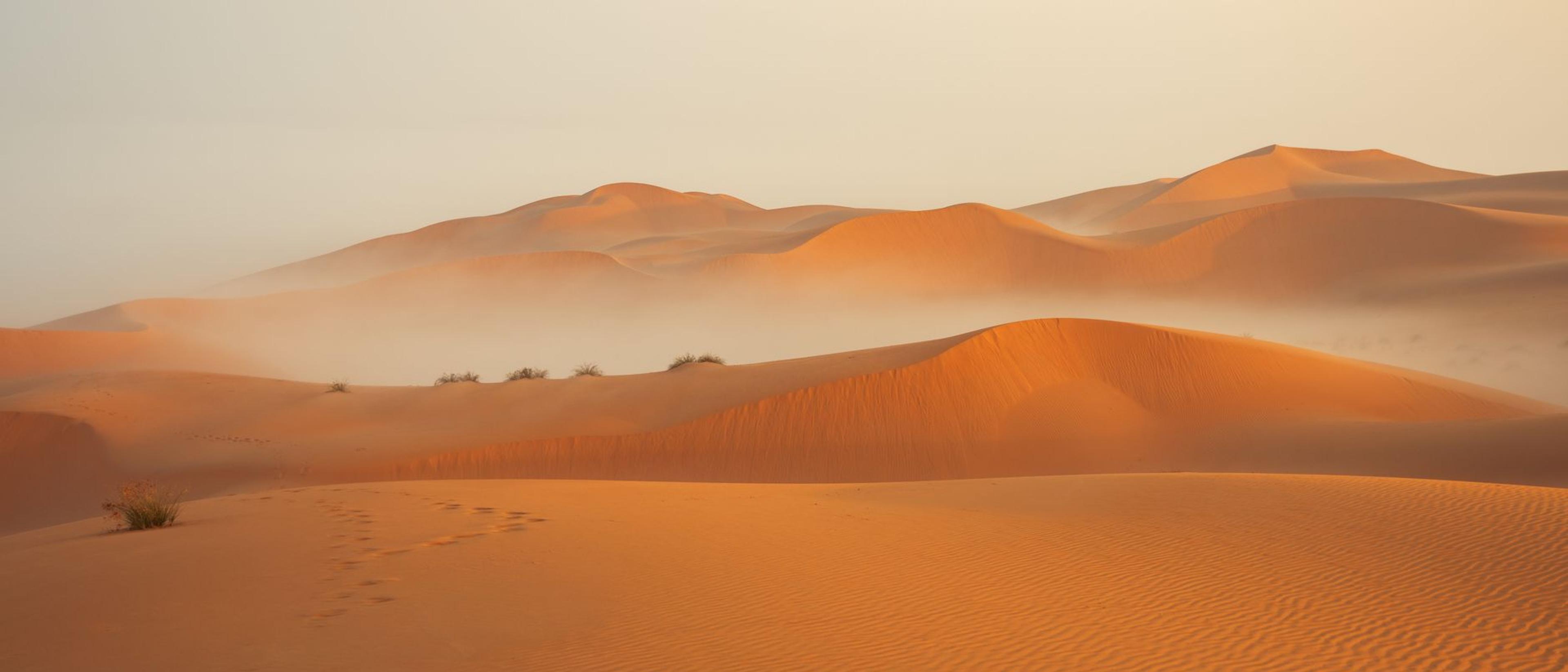 Sunrise over the Chegaga dunes