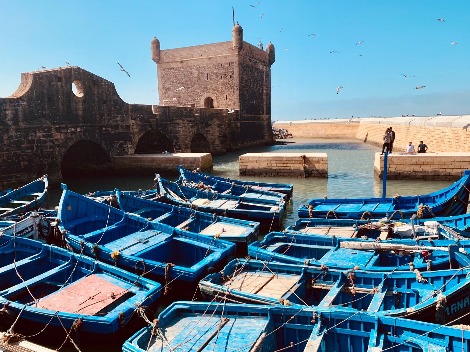 Blue fishing boats in Essaouira harbour, Morocco