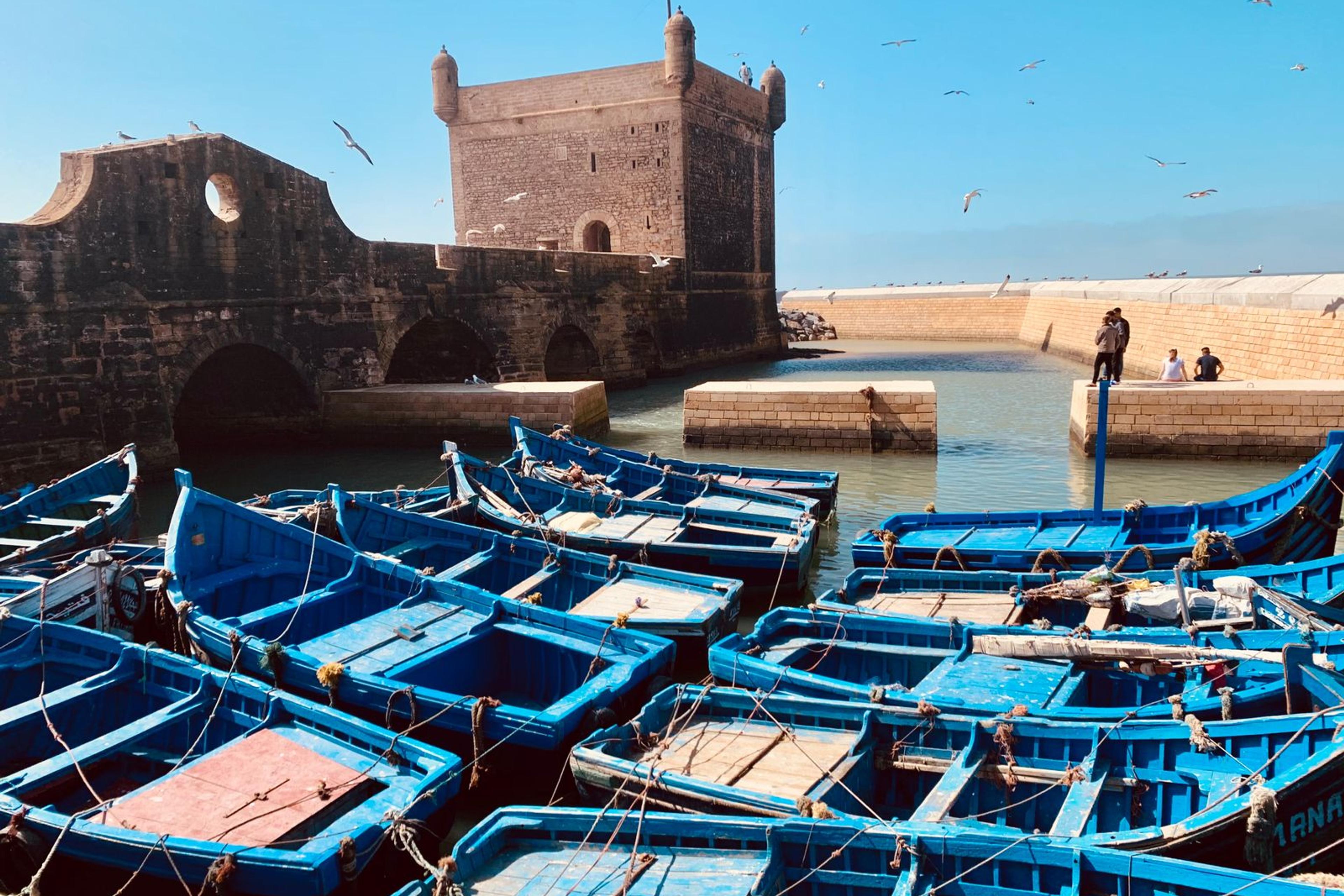 Blue fishing boats in Essaouira harbour, Morocco