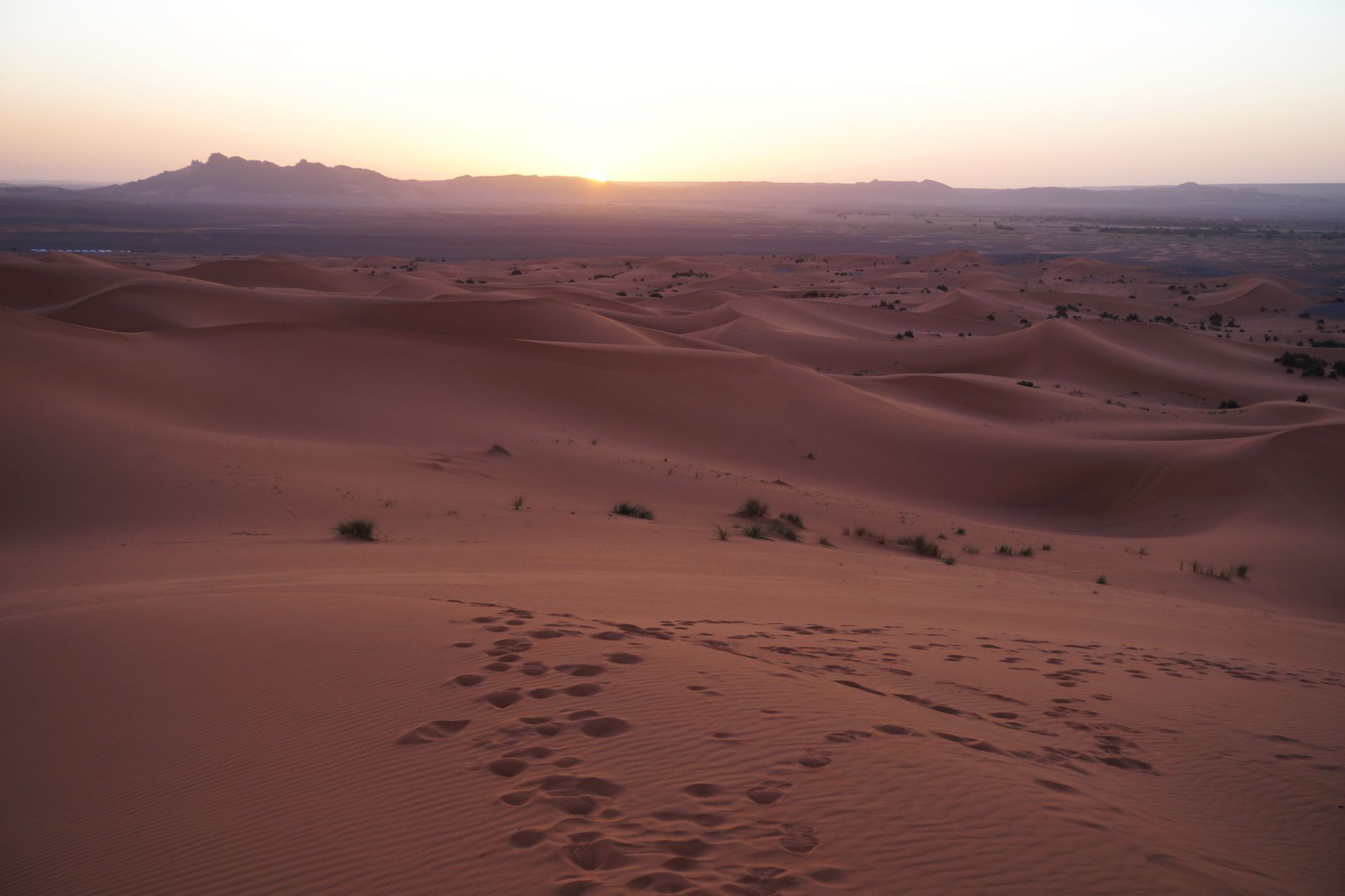 Sunrise over the dunes of the Sahara