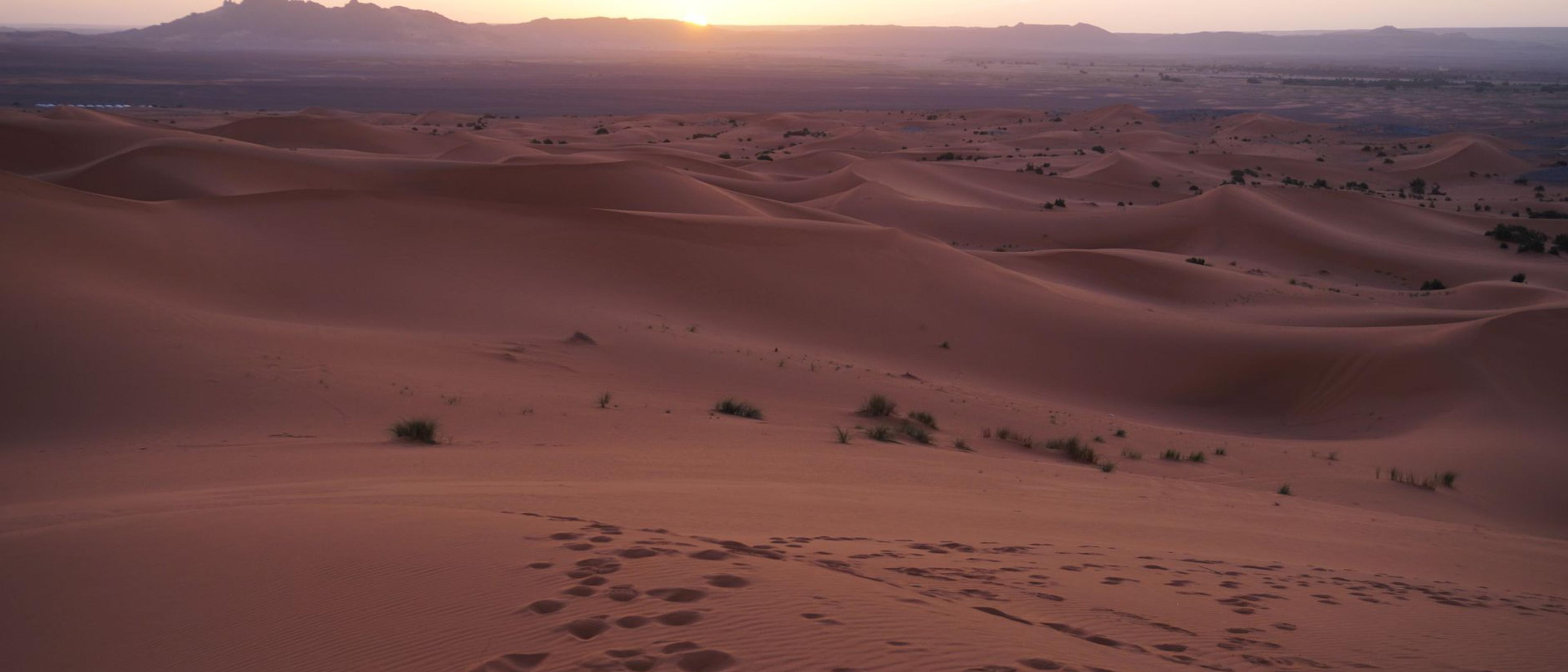 Sunrise over the dunes of the Sahara