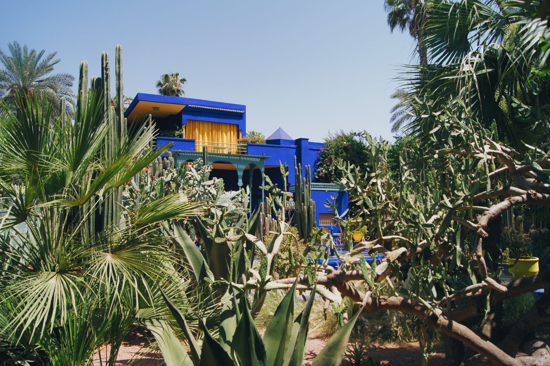 Final morning in Marrakech