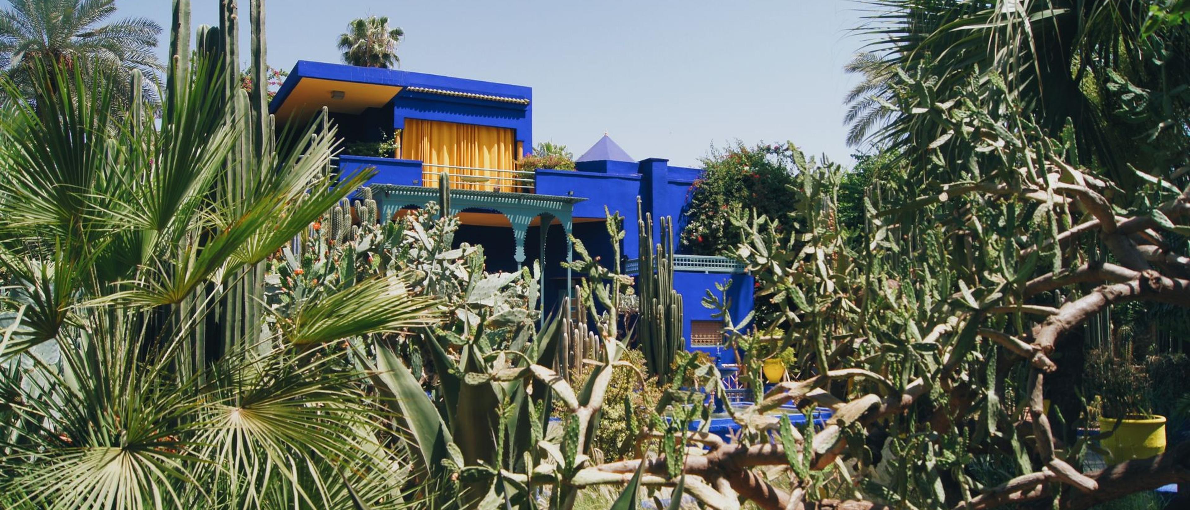 Final morning in Marrakech