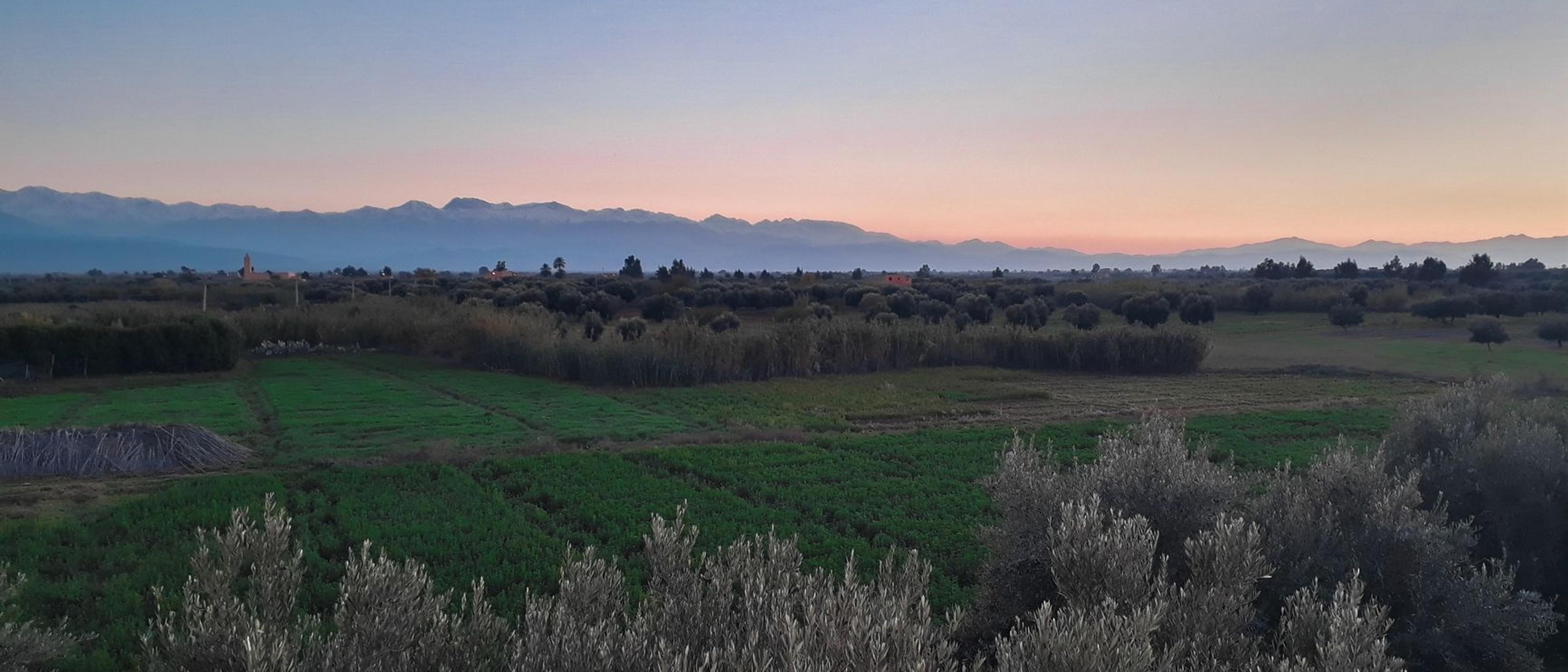 Return to Marrakech via the mountain road