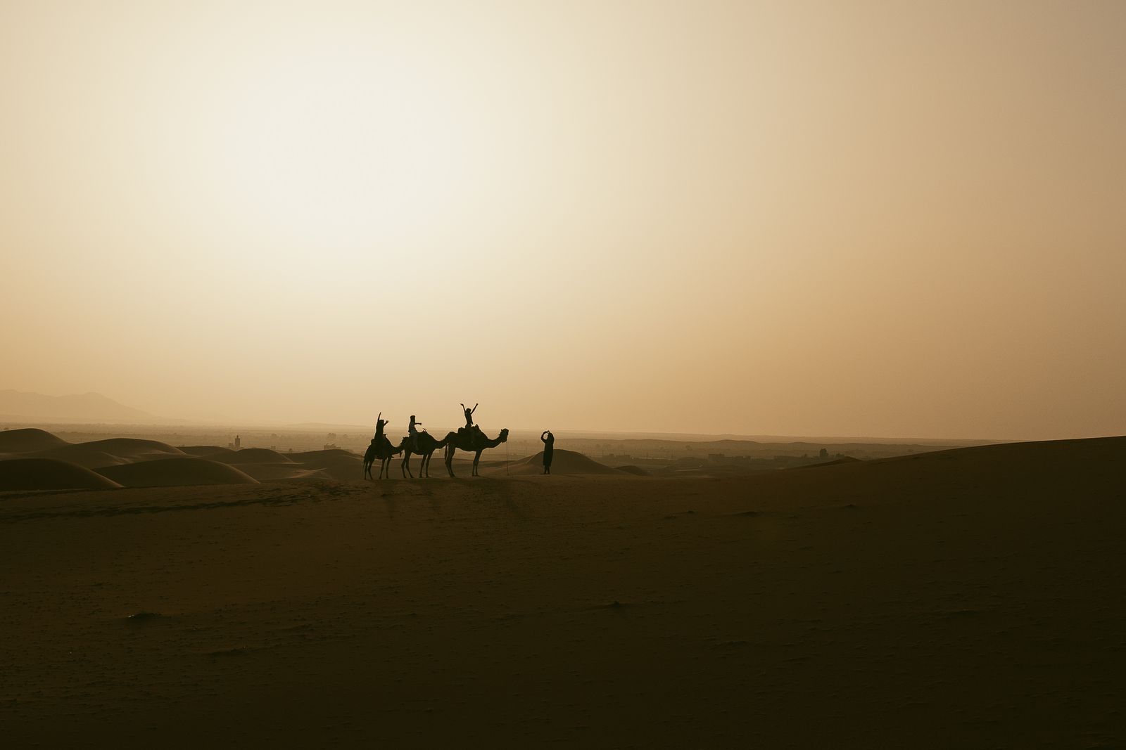 Camel silhouette at sunset in the Sahara desert, Morocco
