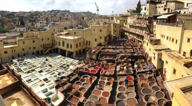 Fes Medina — Full Day