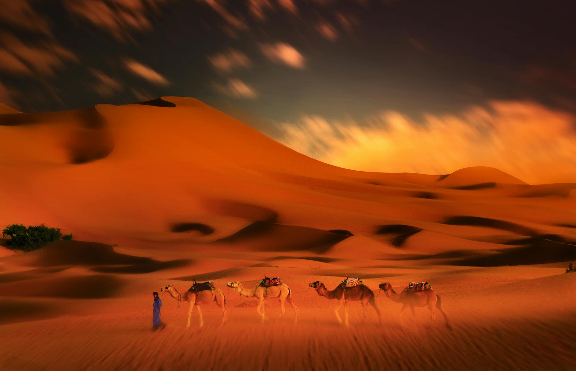 Golden Chegaga dunes at sunset, Southern Morocco