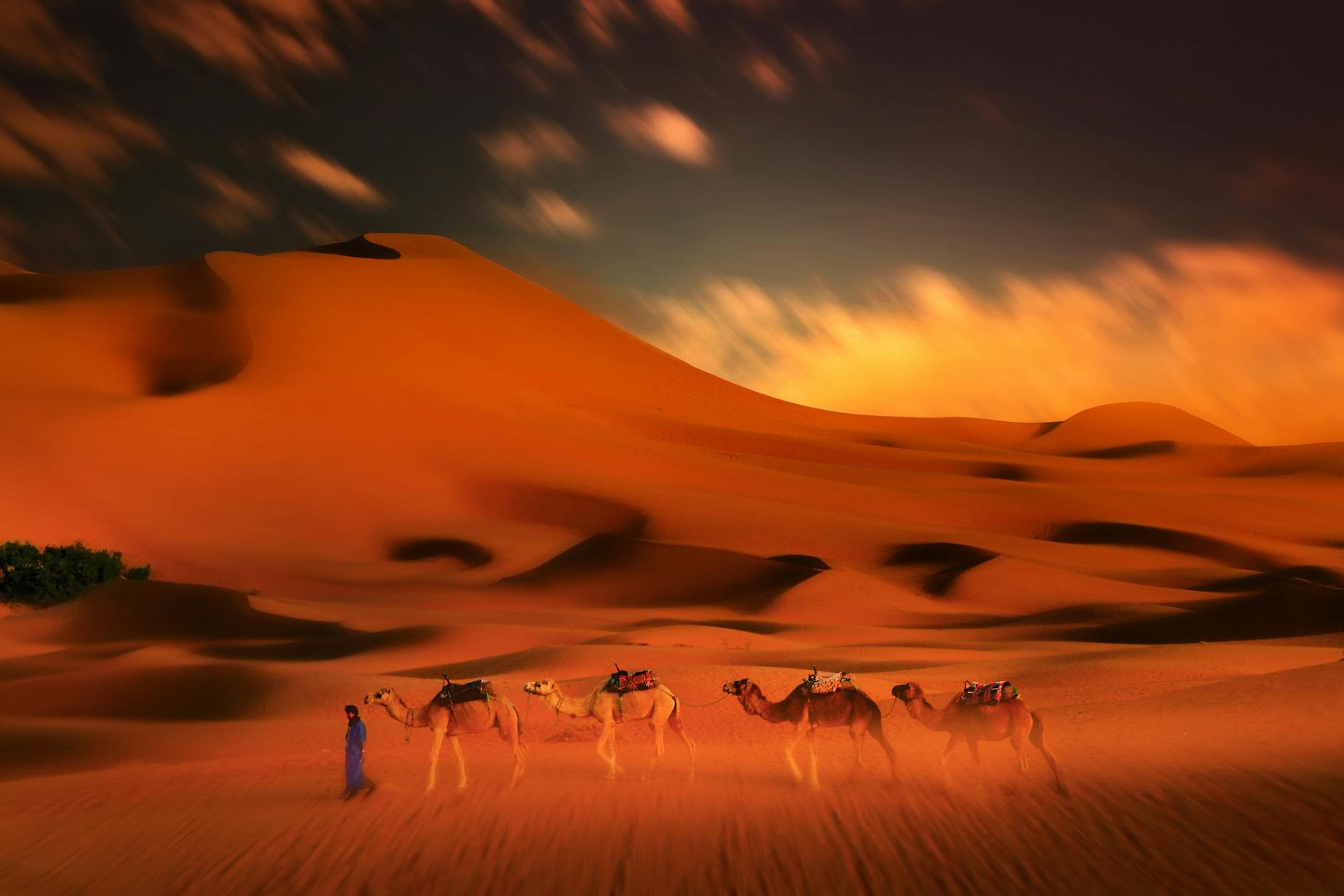 Golden Chegaga dunes at sunset, Southern Morocco