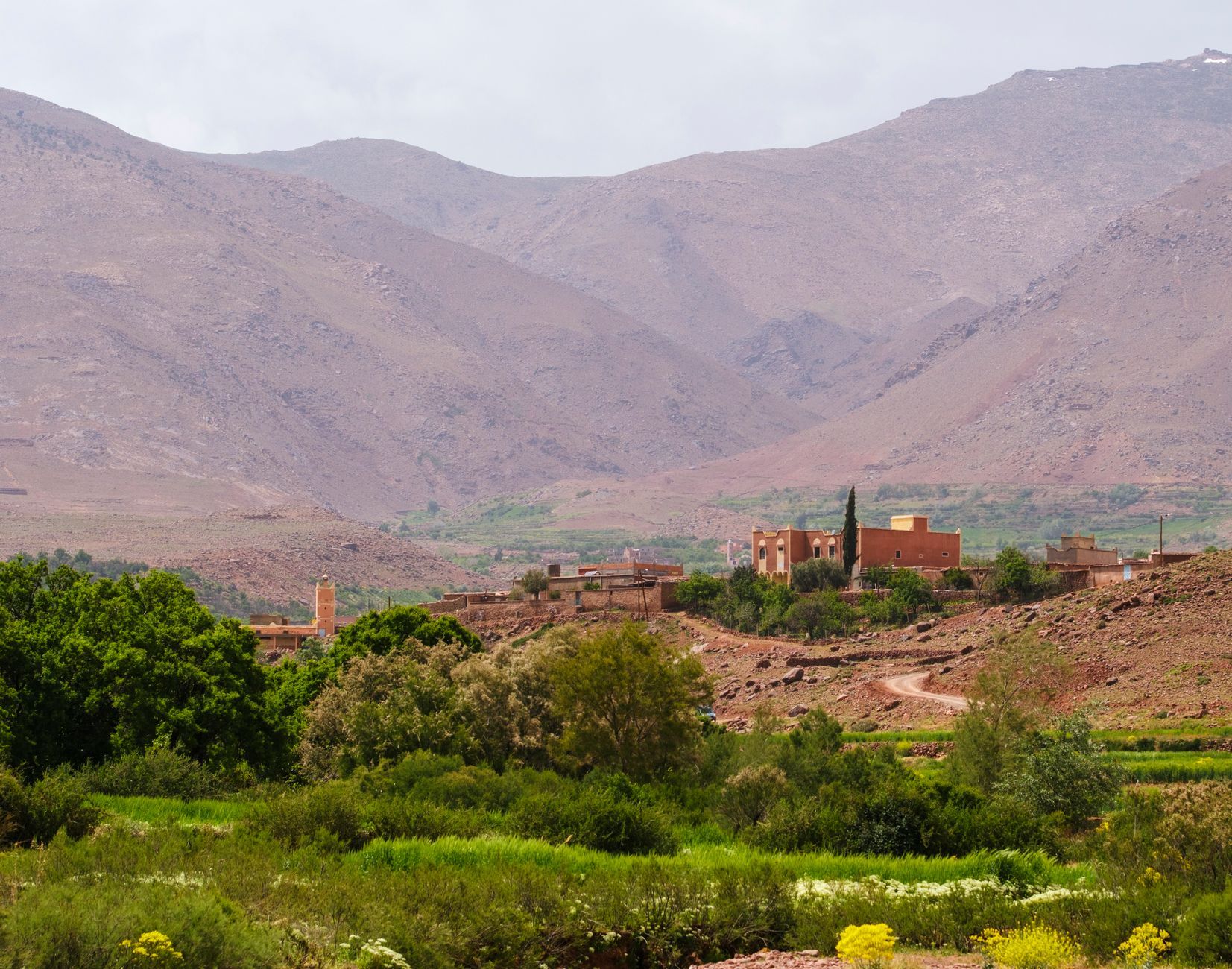 Explore the vibrant greens and rugged terrain of Morocco's Atlas Mountains.