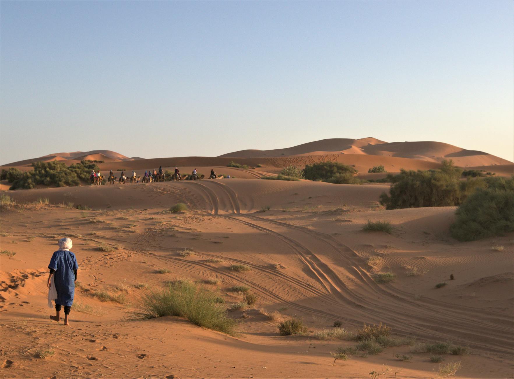 12-Day Tour from Casablanca — photo 4