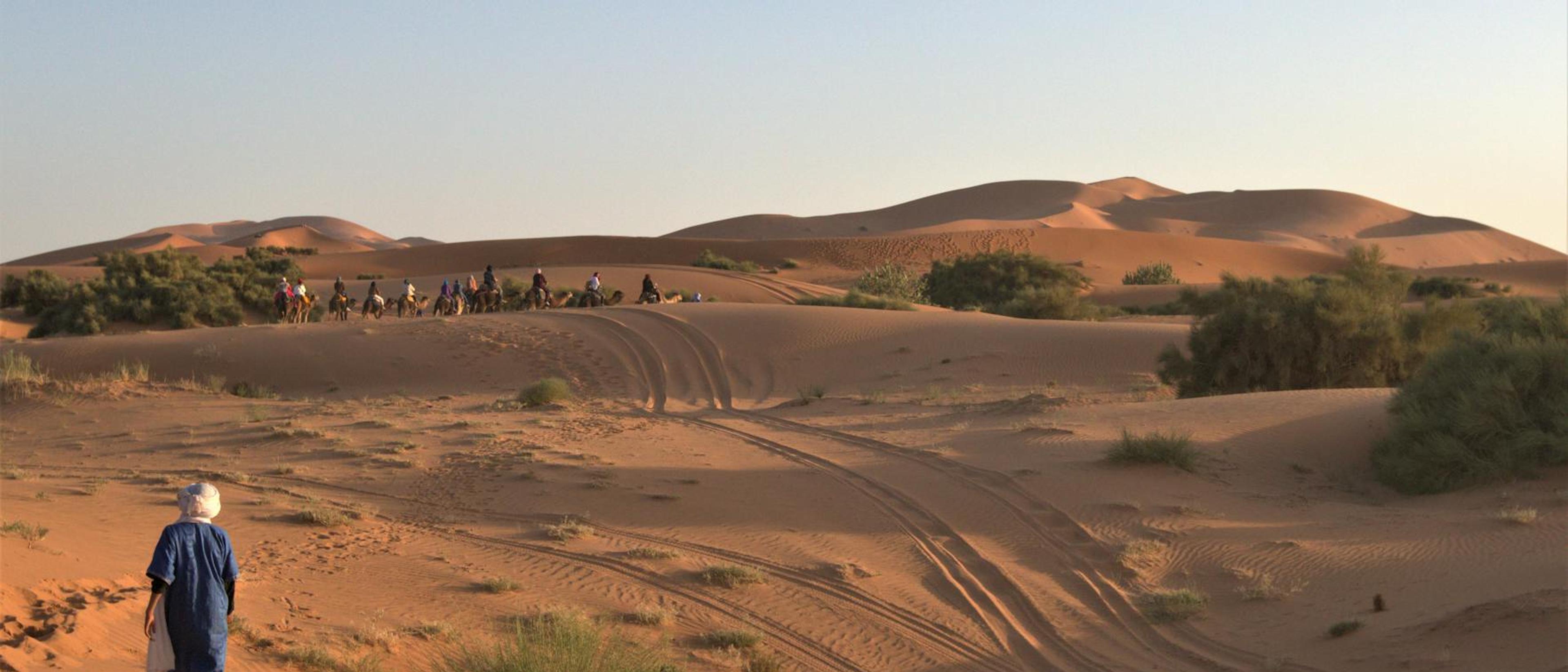 Camel ride into the Sahara at Merzouga