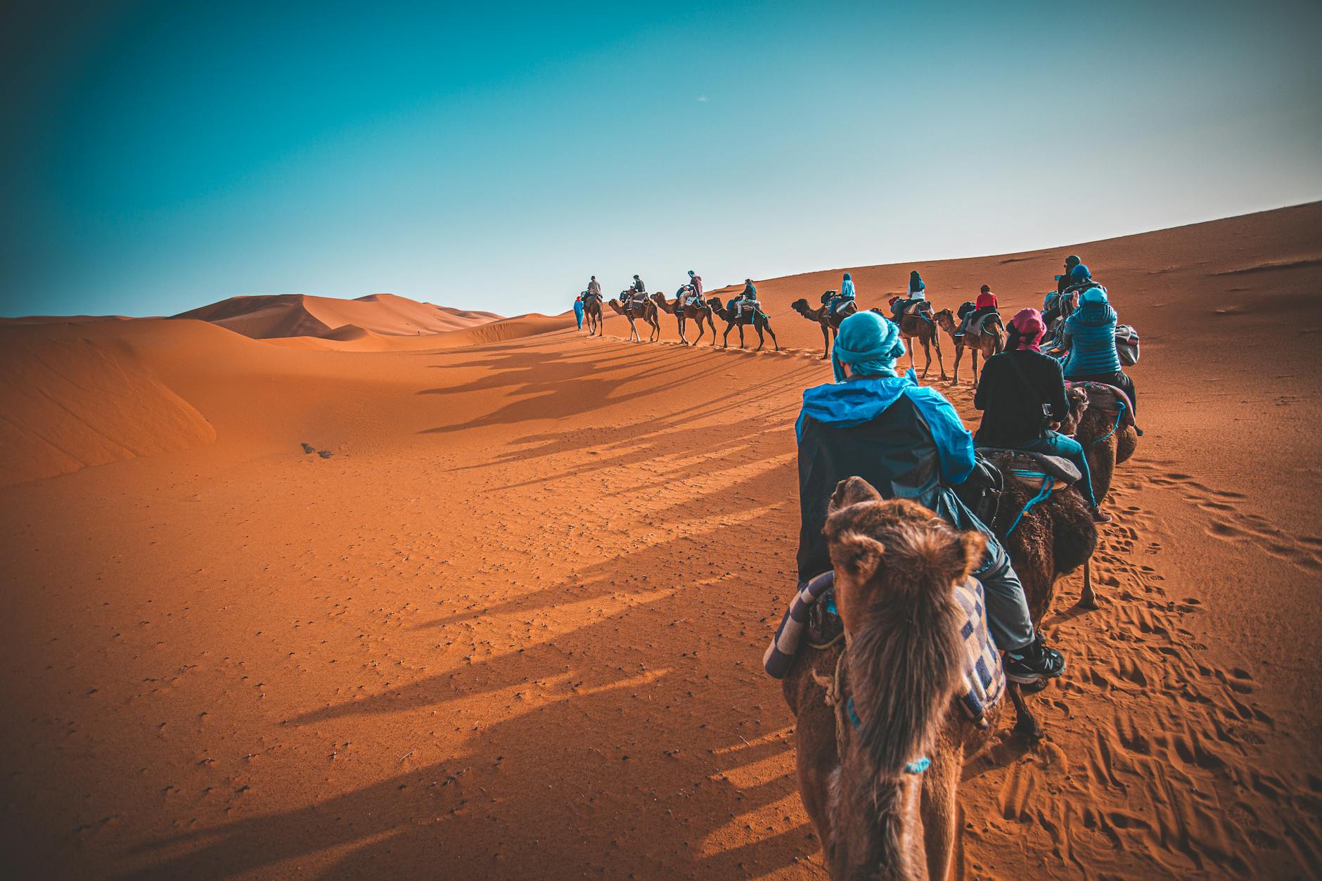 Camel caravan in the Merzouga dunes, Morocco