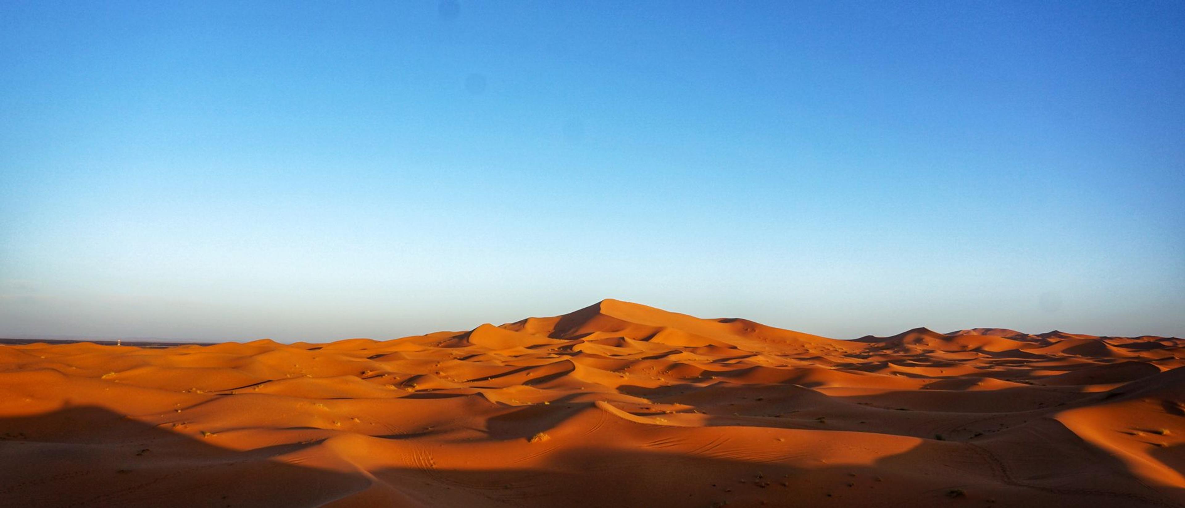 Capture the stunning beauty of expansive orange dunes beneath a vast blue sky, perfect for adventure or travel themes.