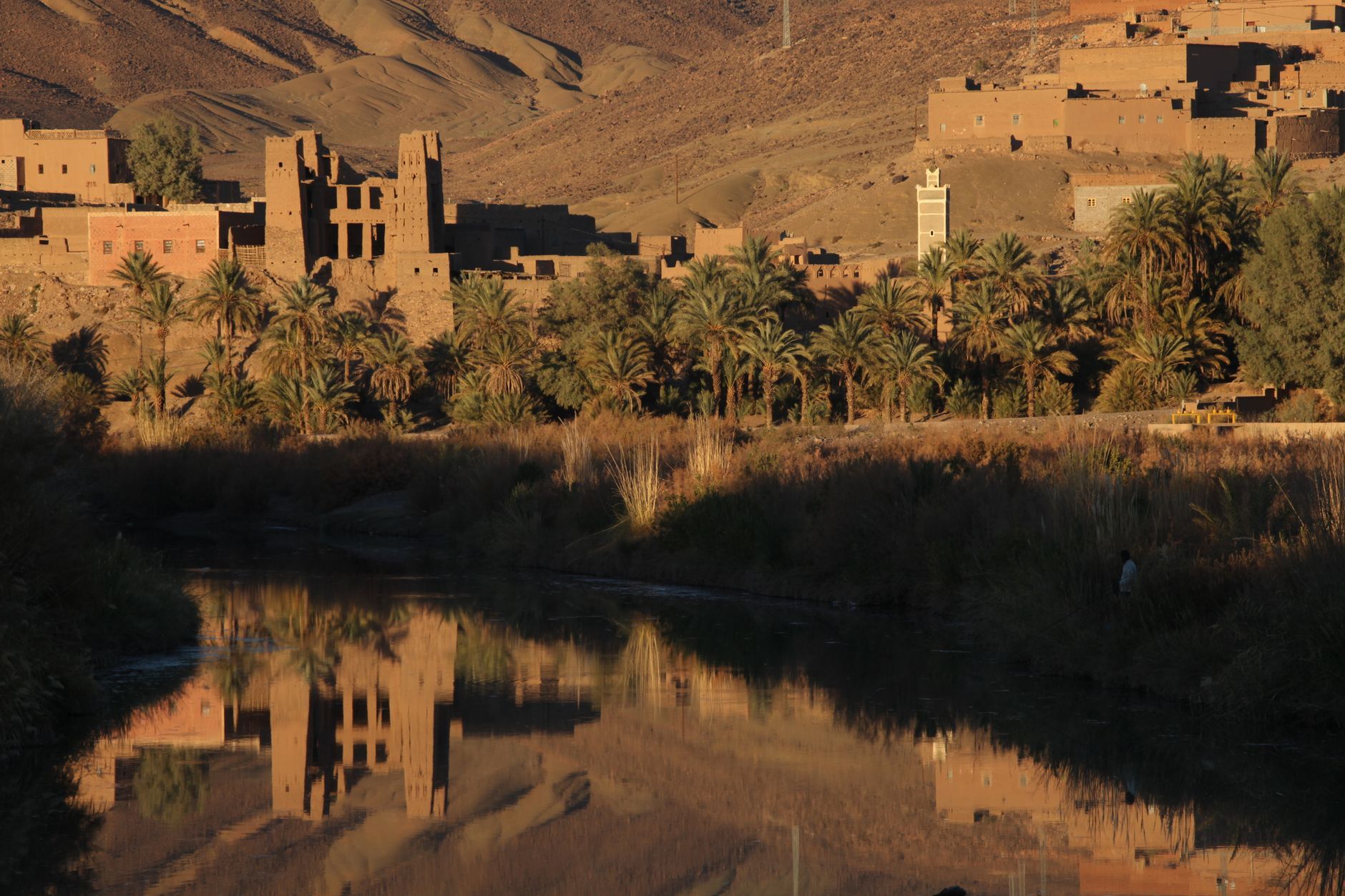 Palm oasis in the Draâ Valley, Morocco