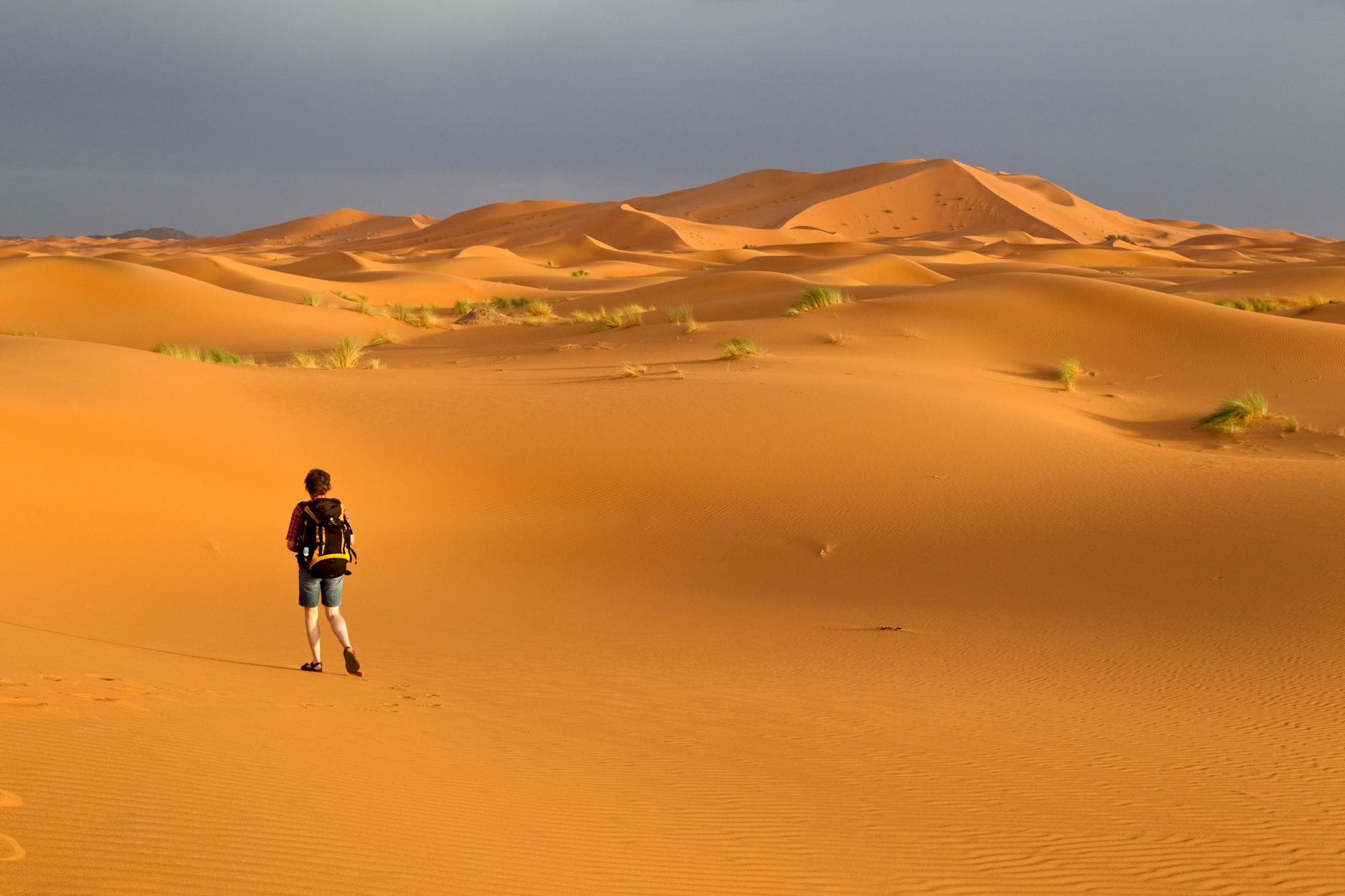 12-Day Grand Morocco Tour from Marrakech — photo 3