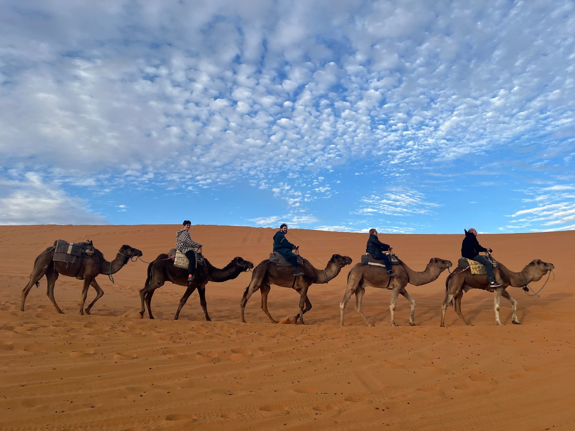 Four guests riding a camel caravan along a ridge of orange Sahara dunes under a sky full of small clouds