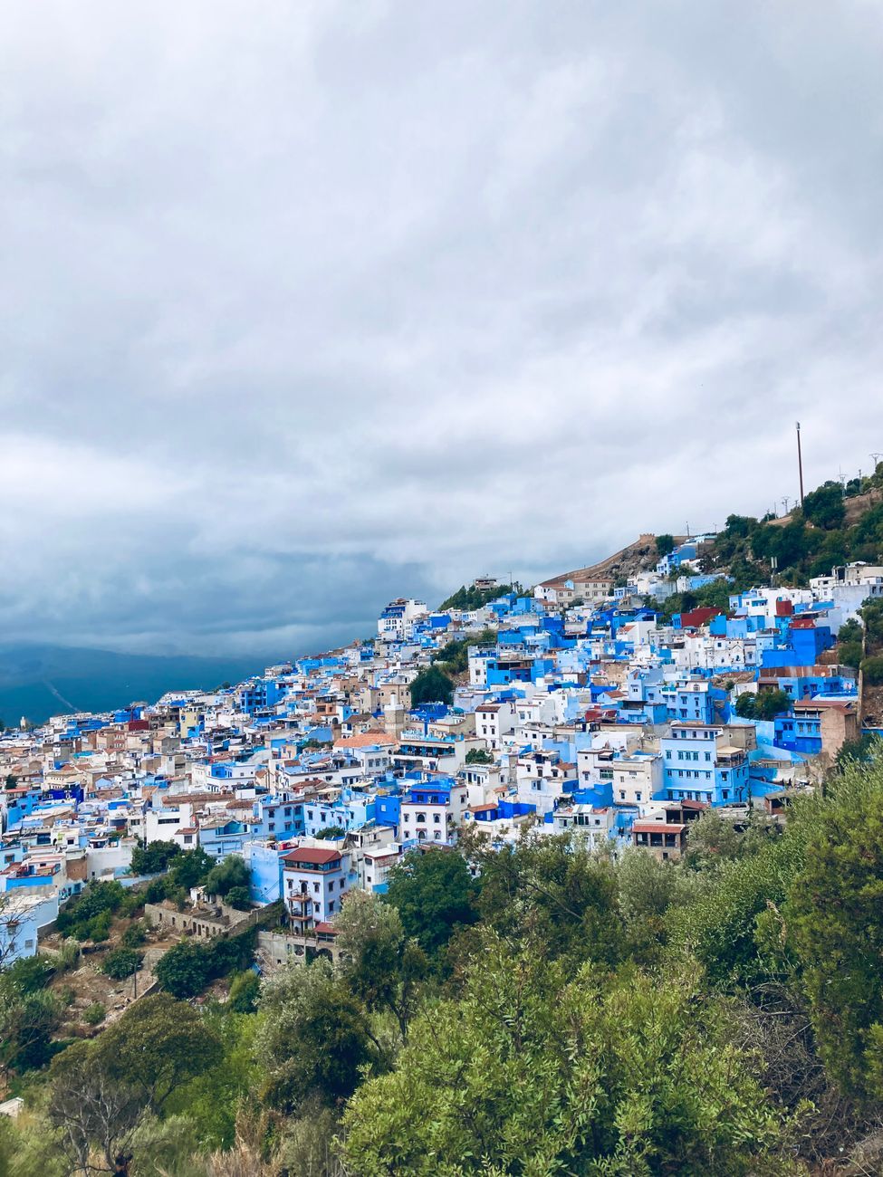 Panoramic view of Chefchaouen's iconic blue buildings nestled in the Rif Mountains.
