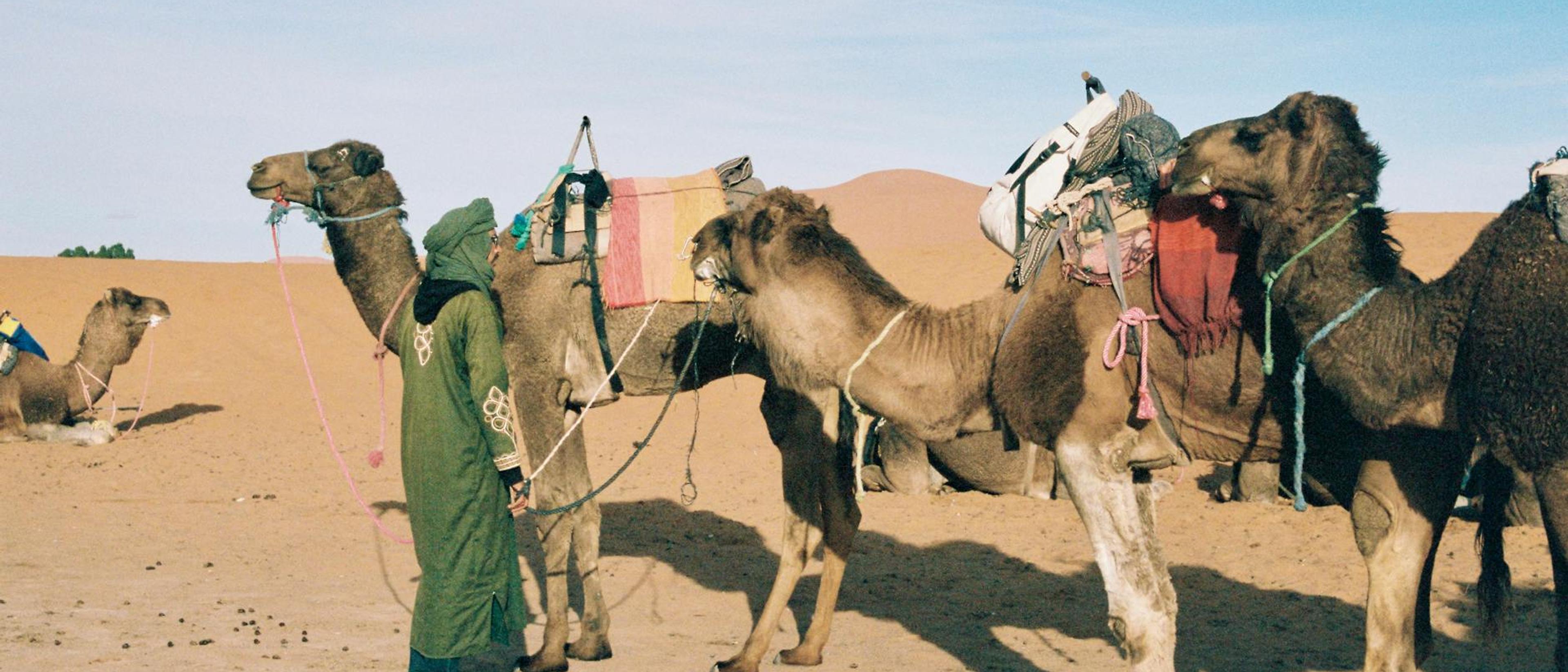Camel ride to the Chegaga desert camp
